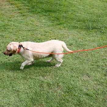 Vodootporne PVC Remen za kućne ljubimce pse 5 m 10 m mali Veliki Štene Povodac za pse Savjet Trening za Praćenje Poslušnost Dugačak povodac se Lako čisti Uže